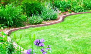 15+ Backyard Landscaping Ideas on a Budget That You NEED to Know ...