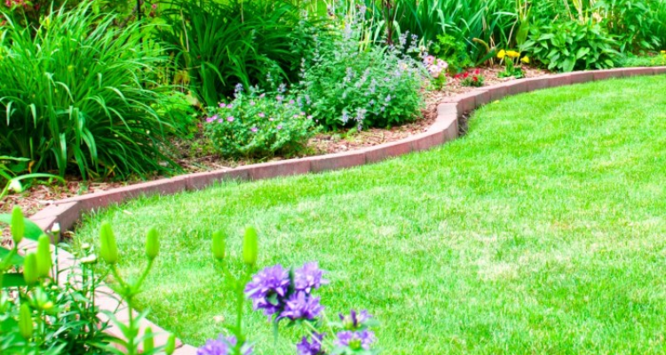 15+ Backyard Landscaping Ideas on a Budget That You NEED to Know ...